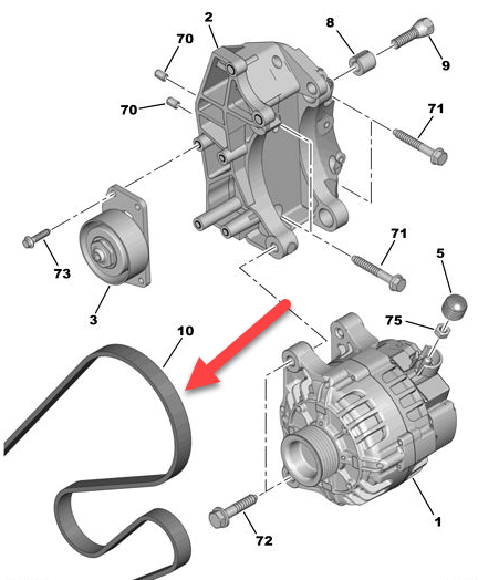 Generatorrem CITROËN XSARA PICASSO (N68) 1.6 NFV (TU5JP)
