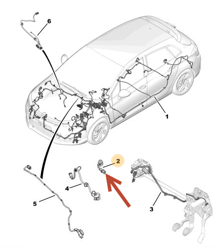 Ledningsnet CITROËN C4 Picasso I Van (UD) 2.0 HDi 165 RHH (DW10CTED4)
